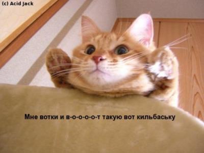 Прикрепленное изображение: 15724_1169.jpeg